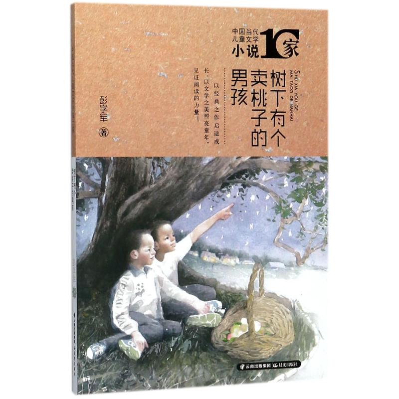 醉染图书树下有个卖桃子的男孩9787541492662高清大图