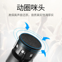 山水（SANSUI） 有线麦克风动圈话筒KTV家用卡拉OK专业舞台DJ音响设备会议培训演讲连功放音响电脑 黑色