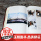火鸟之地 汗青堂丛书119 传统俄罗斯文化987—1917 俄罗斯艺术文学舞蹈音乐建筑文化史世界史书籍 群言出版社 后浪