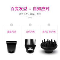 飞科(FLYCO)电吹风 FH6270 六档变速调控负离子护发健康柔风2200W家用吹风机