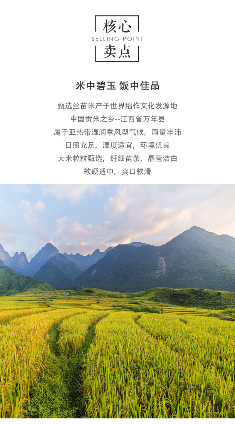 万年贡甄选丝苗米5kg南方大米 籼米 香软大米高清大图