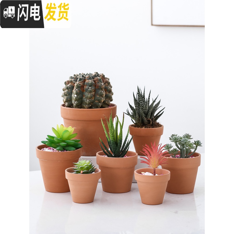三维工匠红陶多肉小花盆育苗大号粗陶土陶瓷泥瓦盆矮盆大口径 西瓜红C2款13*15带孔3个 中等花盆容器高清大图