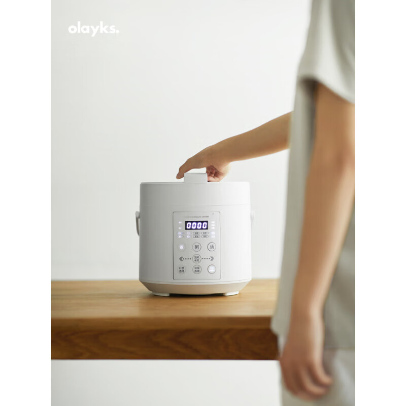 欧莱克(olayks)立时欧莱克电饭煲家用5升多功能预约大容量电饭锅煲汤 单胆:三层复合钢胆DYLG00603 5L高清大图