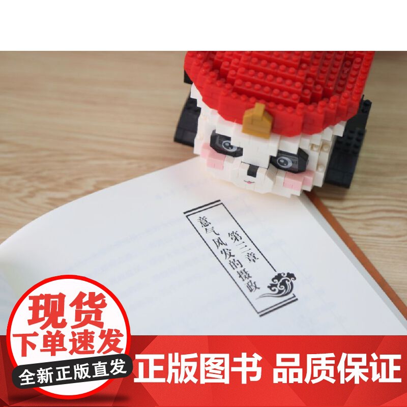 大清最后的掌舵人:载沣 历史 大清 溥仪 慈禧 变革 研究出版社高清大图