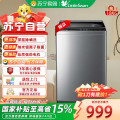小天鹅洗衣机 TB100PURE6 巴赫银