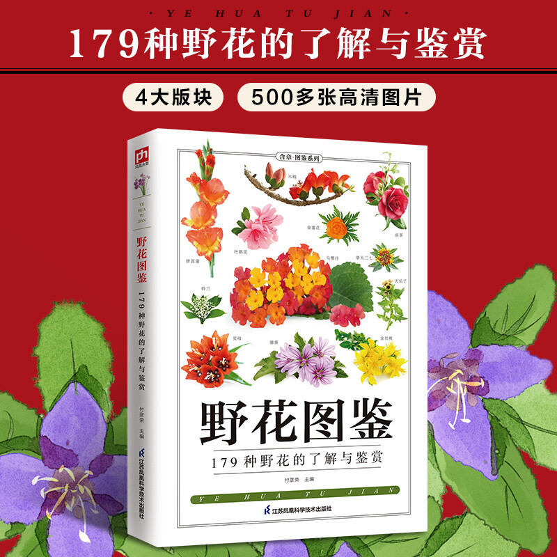 [正版]4册矿物与岩石图鉴鸟蝴蝶野花图鉴 儿童青少年成人拓展阅读自然科普工具完全书籍课外知识昆虫鸟类蔷薇科植物鸟类宝石