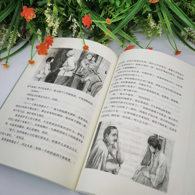 城南旧事正版 林海音作品 导读点评版 五年级六七年级课外阅读书籍 初中生语文推荐阅读 中小学生课外书籍经典名作高清大图