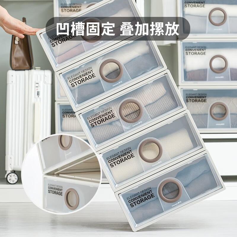 茶花(CHAHUA)收纳箱大号收纳盒内衣整理箱子储物箱抽屉式单层收纳柜两只装 990054高清大图
