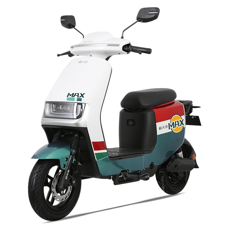 新大洲palla/派乐电动车 睿仕 3c新国标48v电瓶车代步自行车 星空白