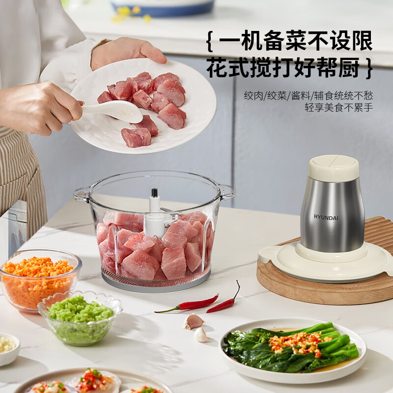 HYUNDAI多功能食品加工机（绞肉机）XF--20高清大图