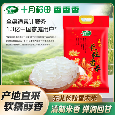 十月稻田东北长粒香大米