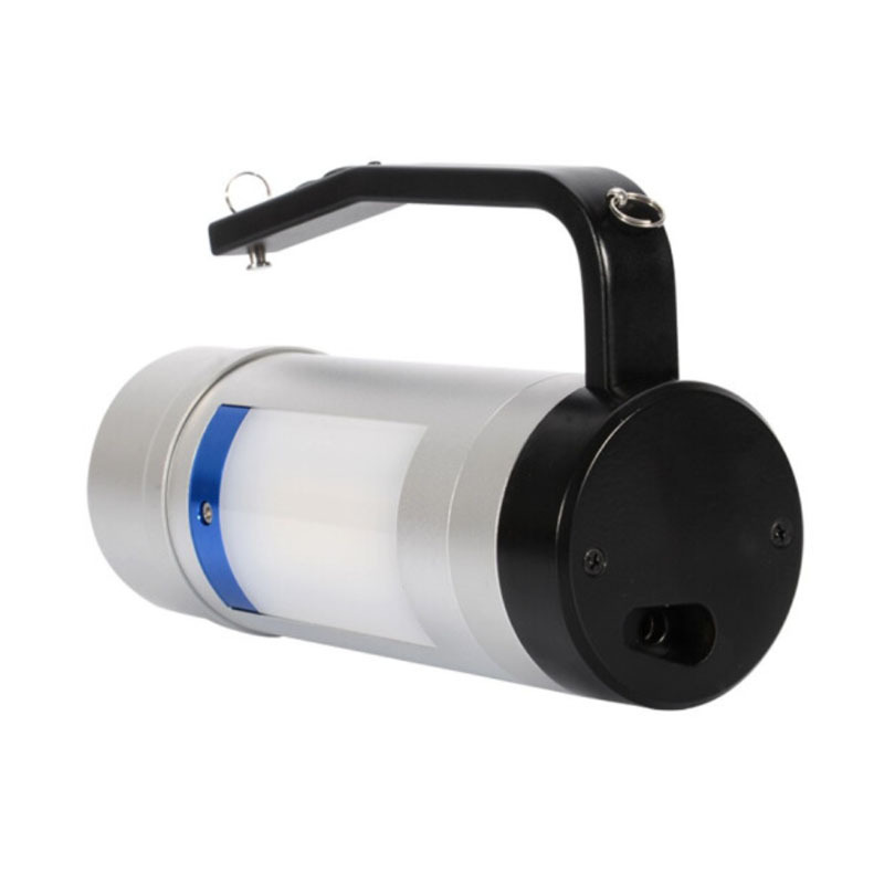 劲荣(JINRONG)BWJ6310-A 12W 多功能灯(计价单位:盏)银色