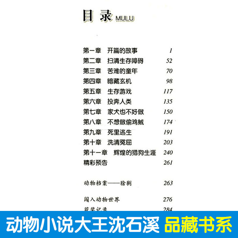 正版 双面猎犬 动物小说大王沈石溪品藏书系中小学生课外阅读书不带拼音儿童文学书籍 浙江少年儿童出版社共289页DB