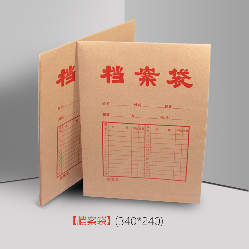 迈思图 档案袋 340*240*30mm 10个
