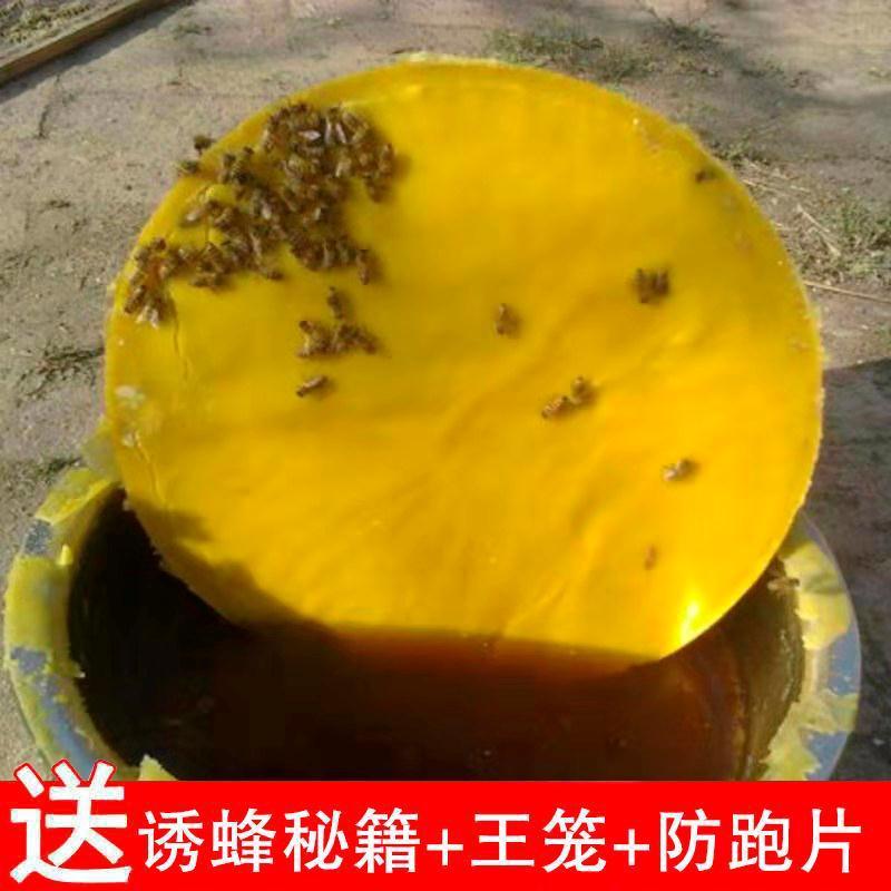 半斤 诱蜂专用蜂蜡500g天然养蜂蜡诱蜂蜂蜡招蜂水蜜蜂蜡招蜂用诱蜂蜡