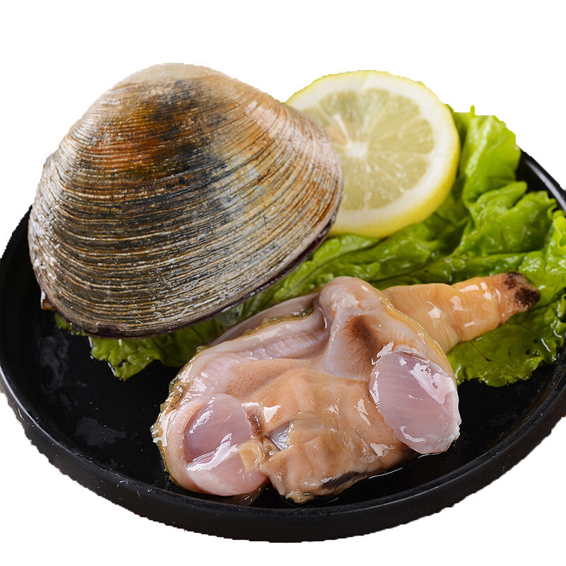 xj天鹅蛋水产海鲜贝类北极贝烧烤刺身料理个大肉多生鲜可开发票500g