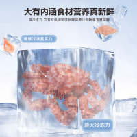 新飞(FRESTEC) 160升小型家用节能冷藏冷冻时尚双开门电冰箱BCD-160K2AT