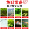 硝化细菌鱼缸用净水剂鱼药乌龟水族消化活菌液养鱼净化水质稳定剂
