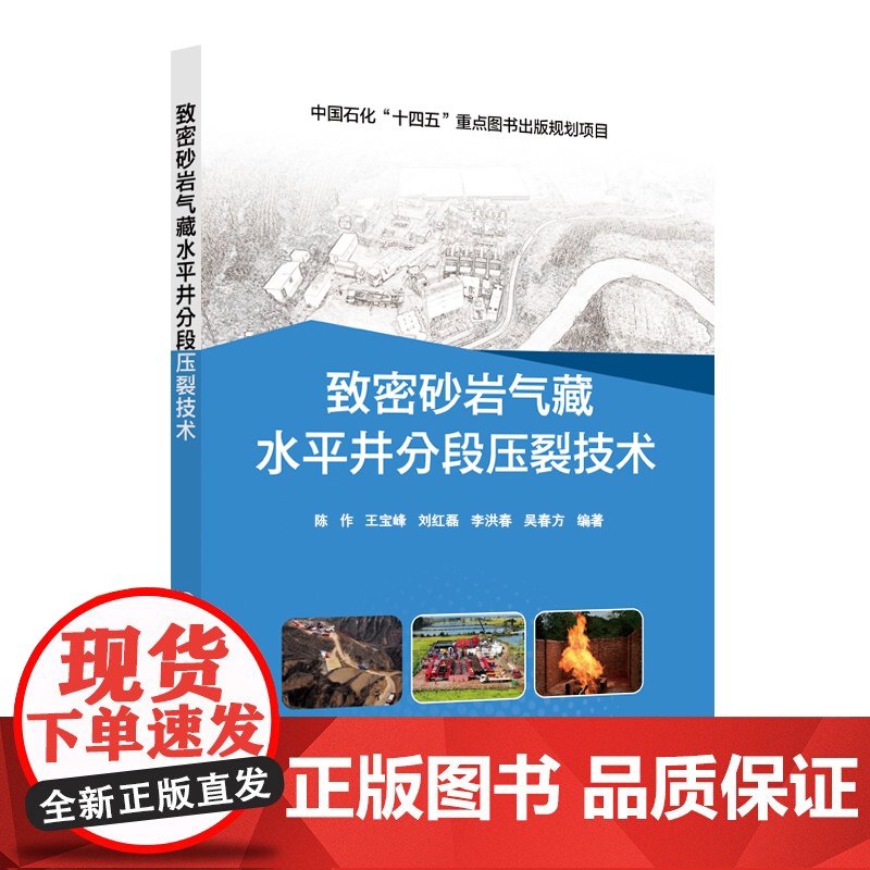 致密砂岩气藏水平井分段压裂技术 中国石化出版社高清大图