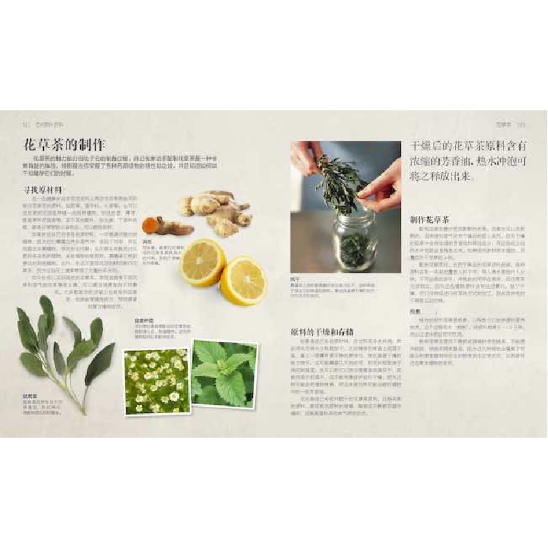 诺森DK茶叶百科(加)琳达·盖拉德著9787110105047科学普及出版社高清大图