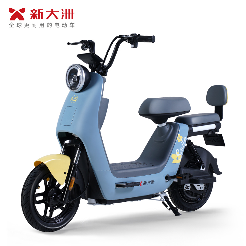 [新品首发]新大洲电动车旗舰店2023国标电动自行车女士小型心动 塔夫绸白/宝石蓝