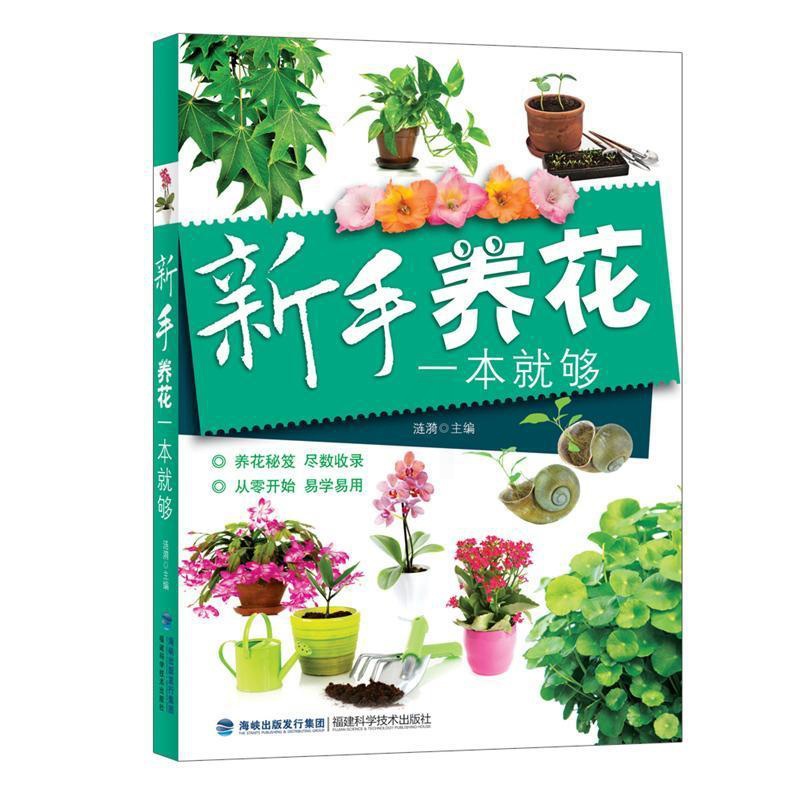 [醉染正版]正版新手养花一本够9787533549305 涟漪福建科学技术出版社生活休闲花卉观赏园艺高清大图