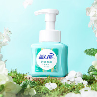 蓝月亮洗手液鲜果薄荷泡沫抑菌洗手液255ml*2瓶(包装随机)