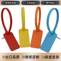 塑料物流封条防盗防伪标签锁扣封签标大号一次性防调包扣标牌扎带