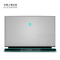 外星人（Alienware）M17R3 2020新款17.3英寸轻薄款游戏本电脑 I9-10980HK 2080 SUPER 300Hz 32G内存+4T PCIE固态