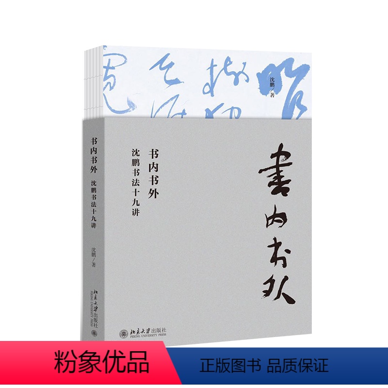 【正版】书内书外:沈鹏书法十九讲