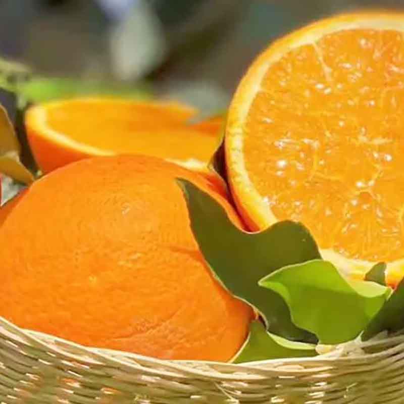 湖北秭归伦晚正宗脐橙不怕晚甜橙新鲜水果当季水果手剥橙产地直发