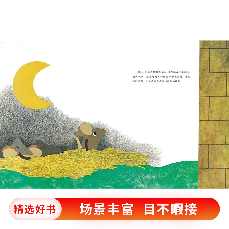 蒂莉和高墙 [正版]蒂莉和高墙硬壳精装图画书爱心树绘本李欧李奥尼杰作坚持不懈勇于挑战未知的信念适合3岁以上亲子阅读童书高清大图