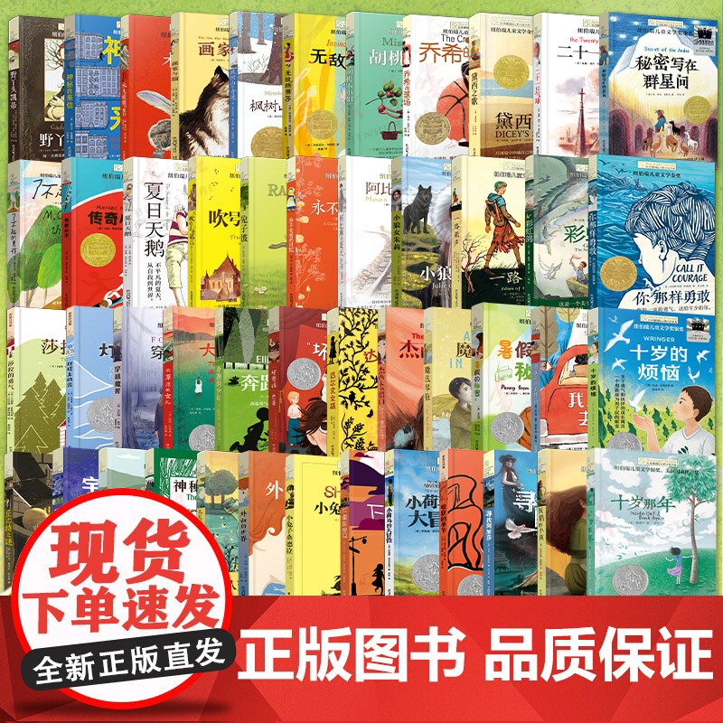 纽伯瑞儿童文学奖全套装金银奖作品长青藤国际大奖小说经典图书籍系列 十岁那年你那样勇敢7-15岁读物三四五六年级小学生课外高清大图