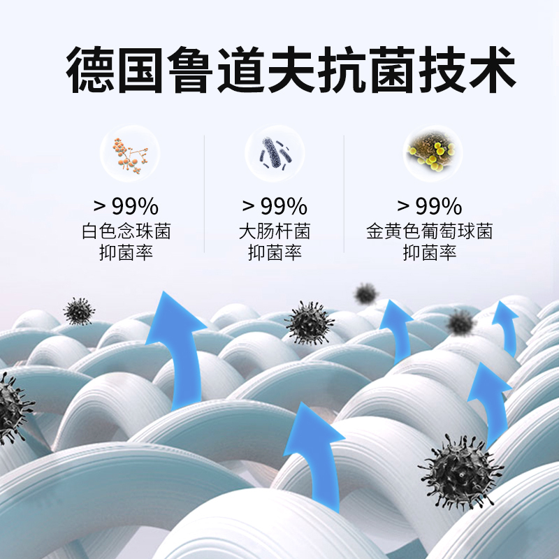 梦神椰棕床垫棕垫 加硬加厚棕榈硬垫席梦思 护脊抗菌单双人弹簧床垫舒伯特