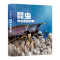 [精装大开本]昆虫 那些重要的事 [正版]昆虫那些重要的事中国少年儿童探索百科全书恐龙 动物 太空 宇宙 自然 科学 地