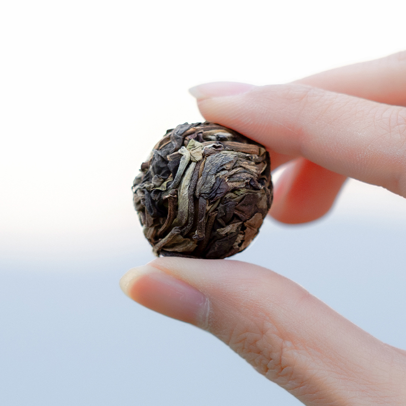 津乔2025年冰岛皓叶云南古树茶叶大叶种白茶龙珠紧压茶冰岛头春180g罐高清大图