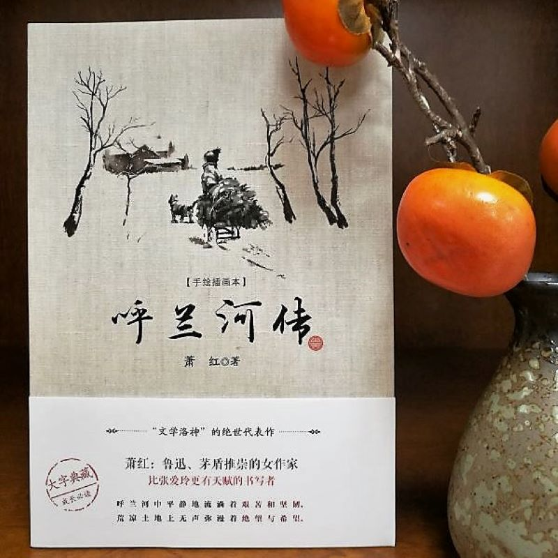 醉染图书呼兰河传(手绘插图本)9787547056127高清大图