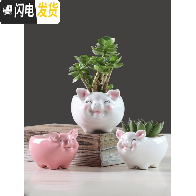 三维工匠简约卡通多肉花盆陶瓷创意个性可爱小猪客厅植物白色花盆绿萝花器 有孔土养手绘蓝色小猪花盆 中等花盆容器