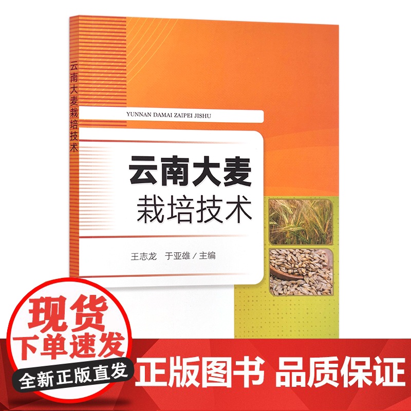云南大麦栽培技术 王志龙 于亚雄 大麦种植 30067高清大图