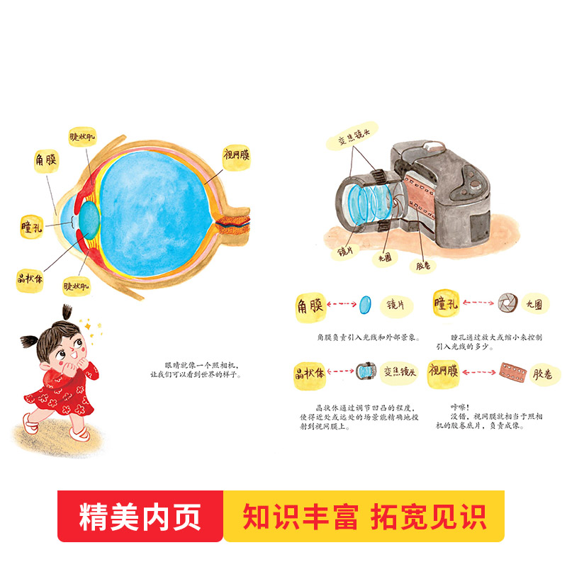 你好,眼睛 [正版]你好眼睛硬壳精装图画书让孩子了解护眼常识保护眼睛形象地讲述了很多医学护眼常识解释了什么是近视远视和散高清大图