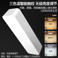 志高led护眼台灯大学生宿舍酷毙灯管神器充电学习用寝室书桌阅读