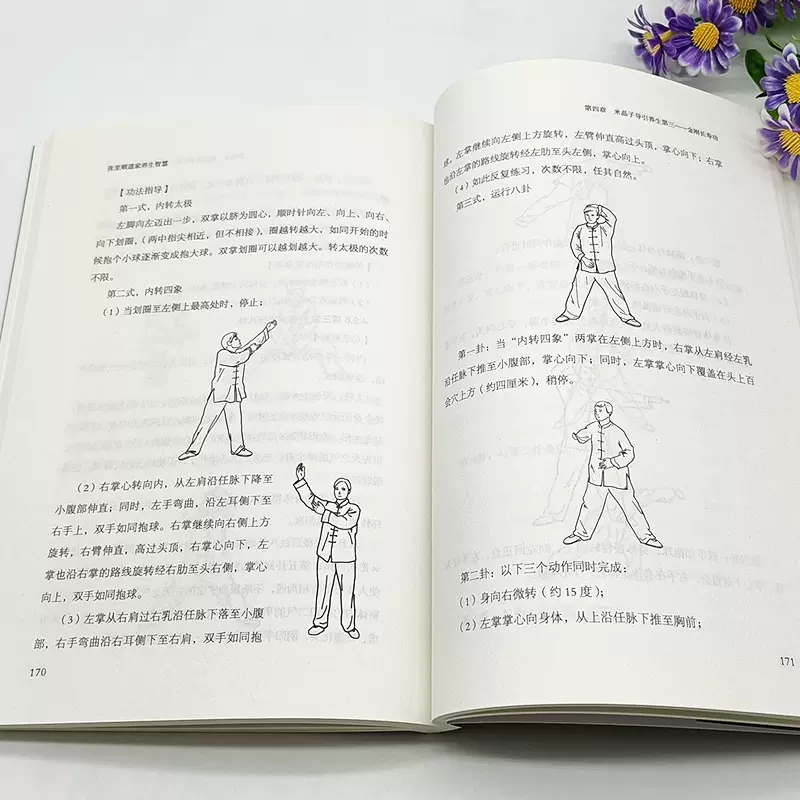 [正版]张至顺道家养生智慧 中米晶子济世良方八部金刚功八部长寿功炁體源流白病食疗老偏方土单方内症观察笔记李可老中医黄帝