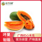 [五个农民]广西红心木瓜 带箱5斤装 新鲜冰糖牛奶木瓜 热带水果