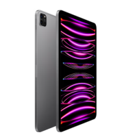 Apple iPad Pro 11英寸2022年款(128G WLAN+蜂窝网络版/M2芯片MNYP3CH/A) 银色
