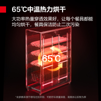 德玛仕DEMASHI商用消毒柜立式酒店餐厅家用双门大容量厨房消毒碗柜保洁柜 ZTP680F-3
