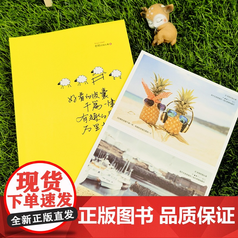 好看的皮囊千篇一律有趣的灵魂万里挑一+世界那么大我要去看看(全2册)老杨的猫头鹰作品“醒脑之书”系列之三写给年轻人的正能高清大图