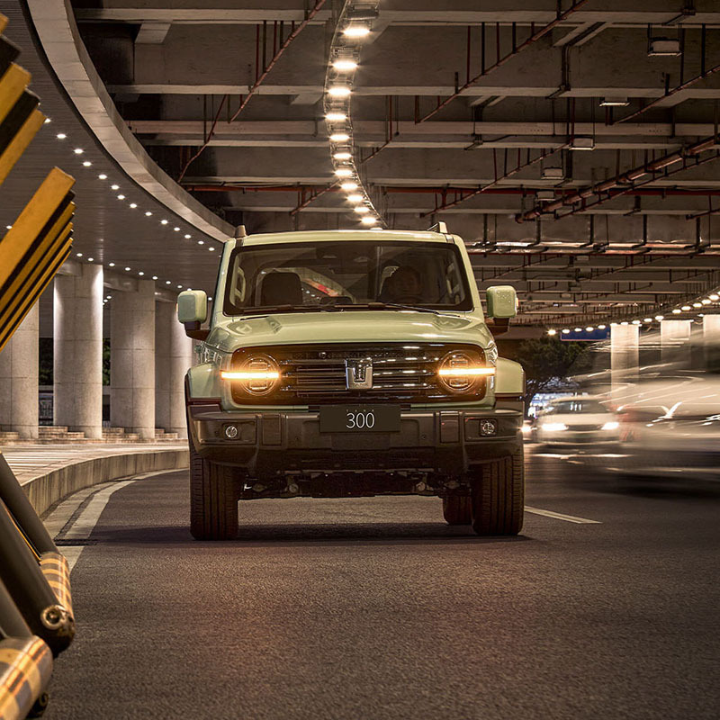 坦克(Thank) 坦克300 城市版 很有型 汽车 整车 城市SUV[直降7800元]