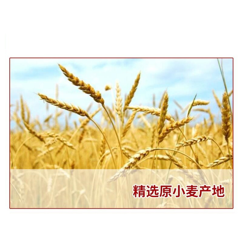 [苏宁自营] 金苑 25kg雪花粉(袋)