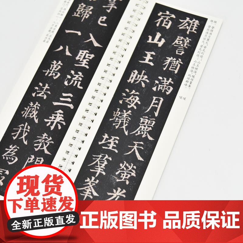 颜真卿多宝塔碑楷书学习从入门到进阶 颜真卿多宝塔碑帖字帖临摹描红 书法临摹高清放大对照视频教程高清大图