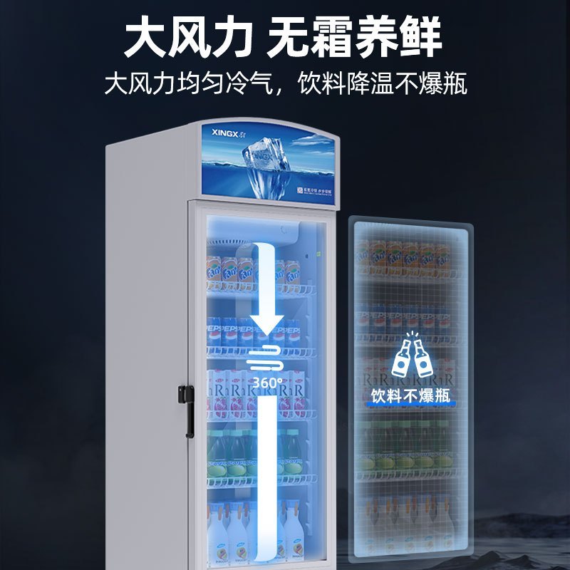 星星(XINGX)LSC-220WE展示柜商用198升 风冷无霜立式冷藏保鲜陈列柜 商超便利店玻璃门啤酒饮料柜